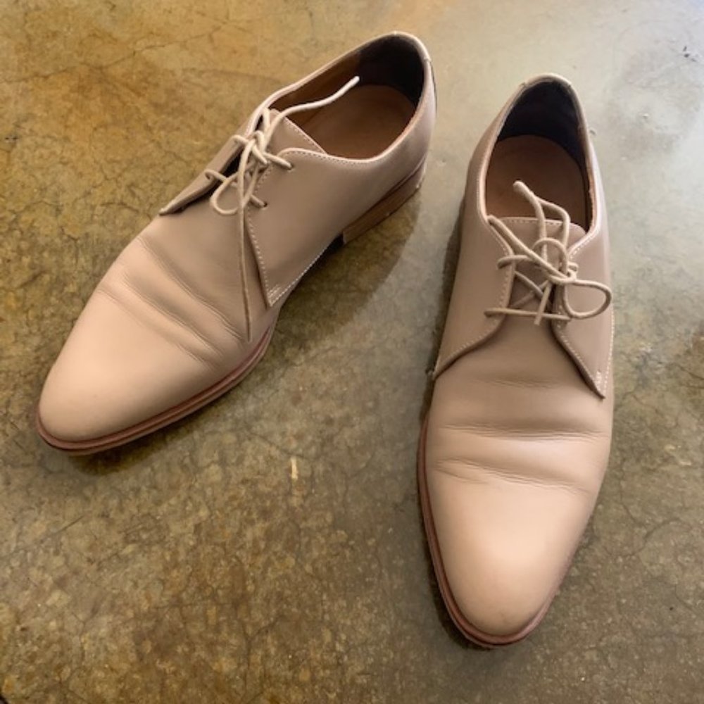 Everlane Modern Oxford